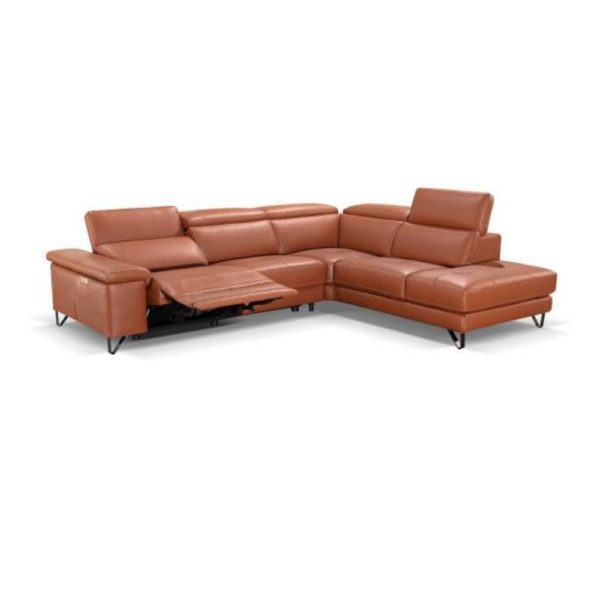 Rosco – Image 2
