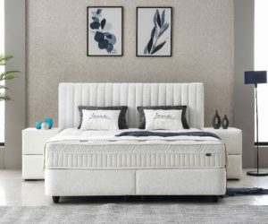 Alternative view of LAURA